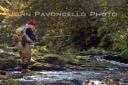 Smoky Mountains Fly Fishing